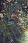 The Shell Collector by Camelid The Shell Collector by Camelid