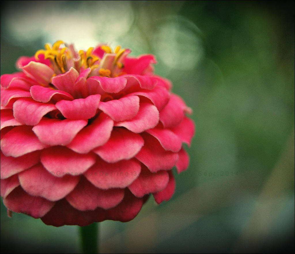 Mother Nature Calls My Name by GrotesqueDarling13