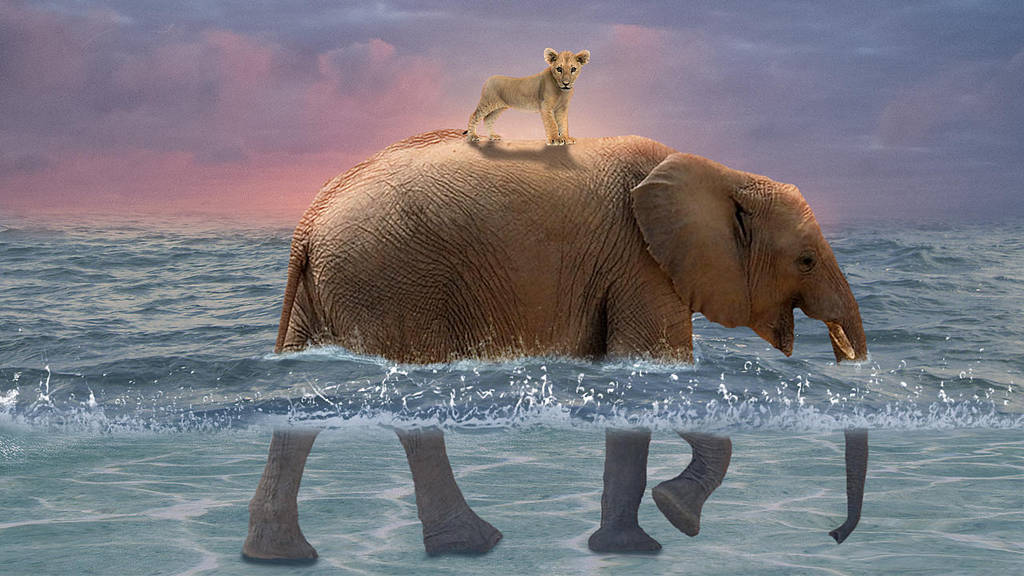 Compassion by JackieCrossley