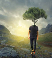 The Tree Man by JackieCrossley