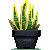 Snake plant by Sindonic