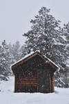 Cabin In The Woods by KrisVlad