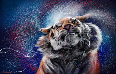 Star And Stripe by nosoart