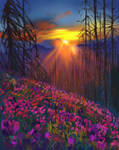 floral designs 09 by nosoart
