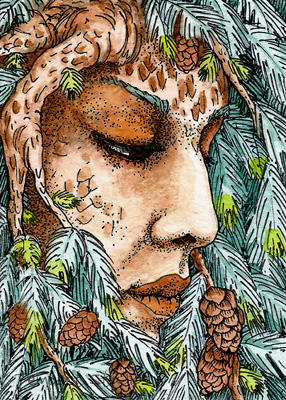 Spruce ATC by TempestErika