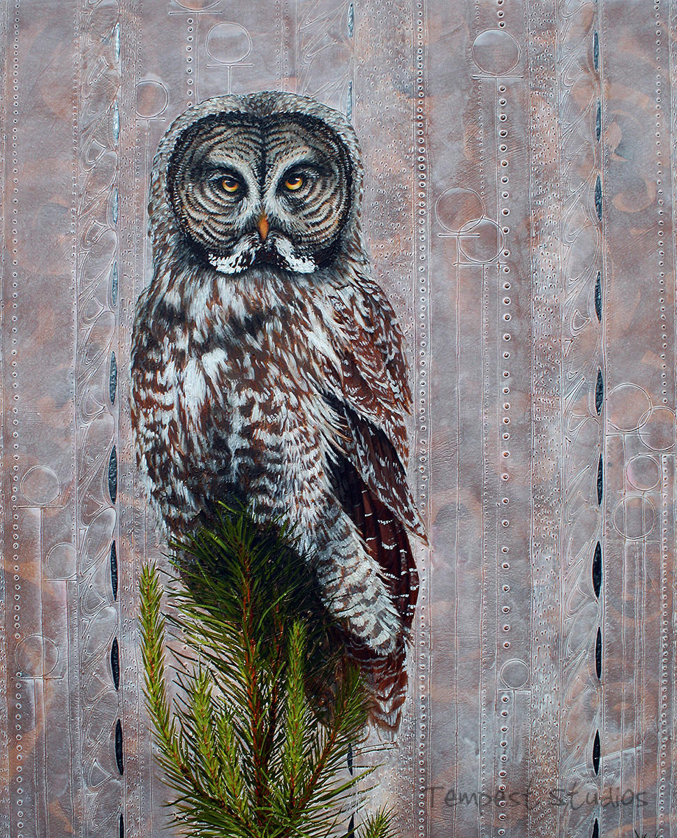 Grey Owl Renaissance by TempestErika