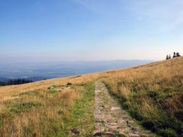 Mountain path 8 by PrismTank