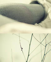 ciiii... by theluckynine