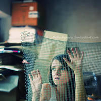 cellar door by theluckynine