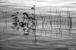 En maree de reflexion by hyneige