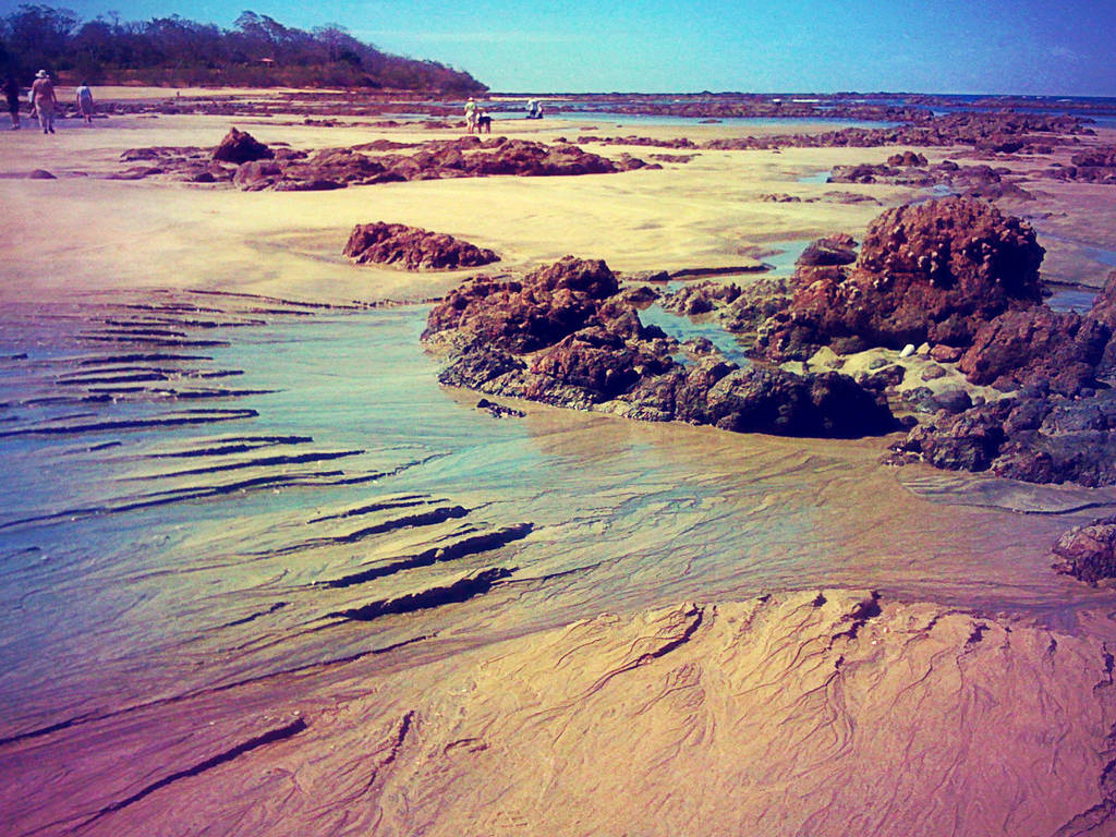 Veins of the Sand by emshore