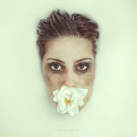 p u r i f y i n g by silvia-giuli