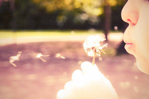 Pick Flowers Not Fights by LeCoco