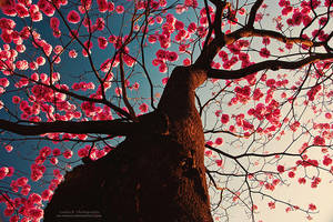 Mesmerize Me by oO-Rein-Oo