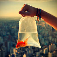 Edge Of The World by oO-Rein-Oo