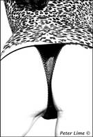 Leopard by PeterLime