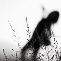 Tell yourself by esmahanozkan