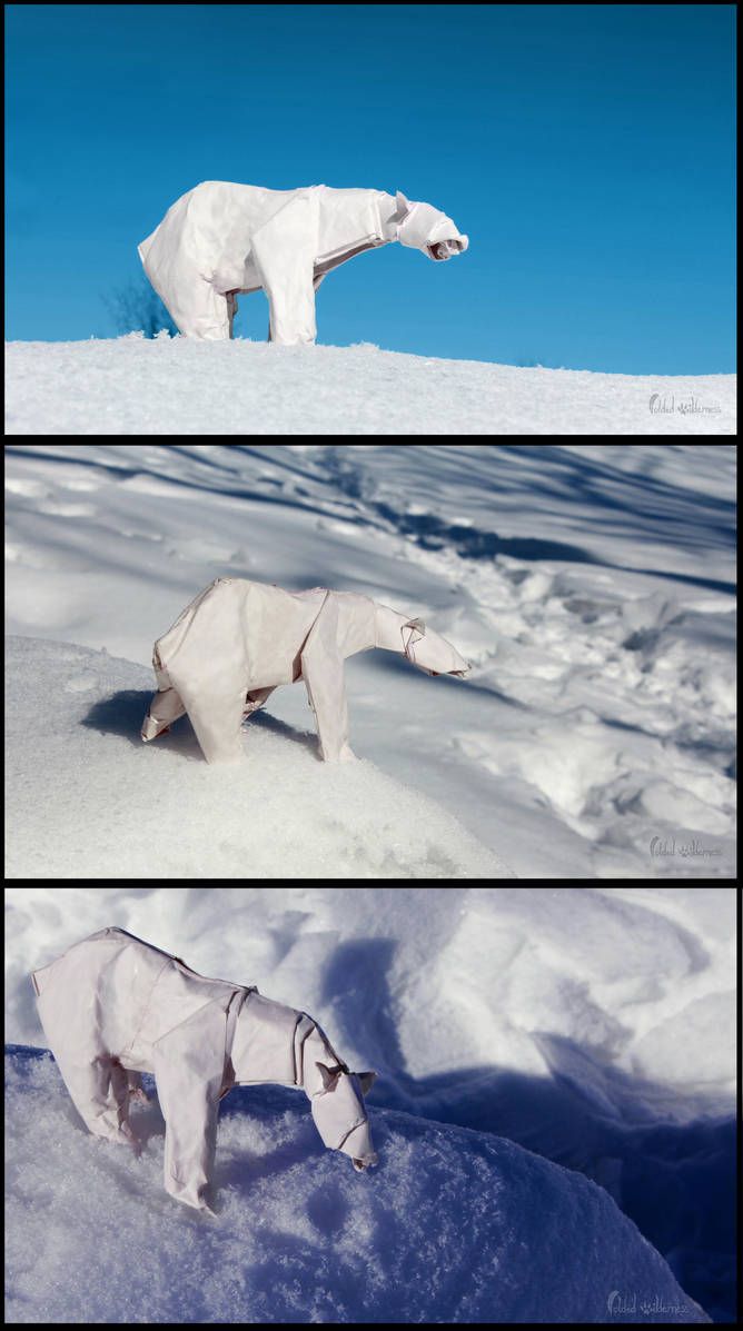 The Mighty Polar Bear by FoldedWilderness