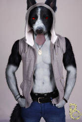 Yoru the Collie by pythos-cheetah