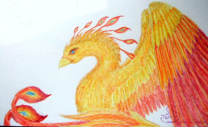 firebird-creature feature by chaosia
