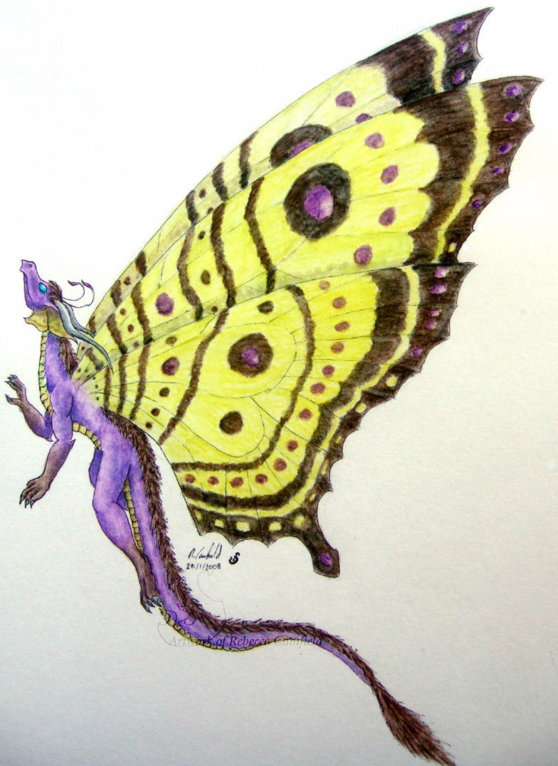 flutterby by chaosia