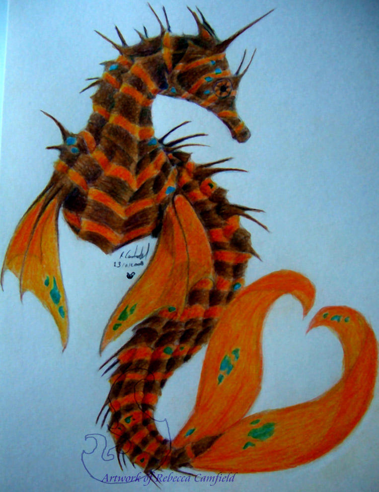 hippocampus with a twist by chaosia