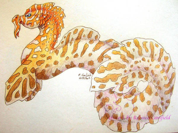 dragon eel by chaosia