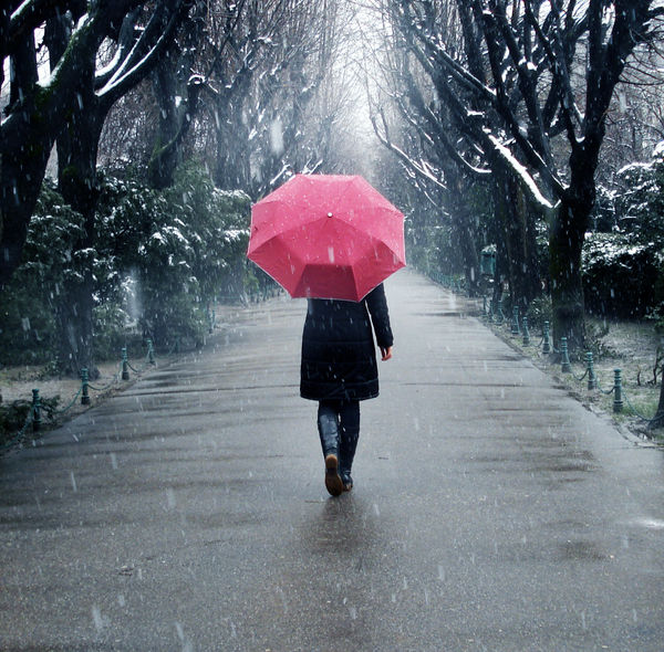 Walking on a Lonely Road