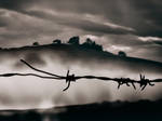 Out there ... by Sesca