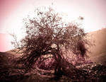 Yggdrasil - The Tree Of Life by RinoTheBouncer