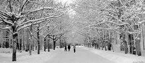 Just a walk by kristiansveiss