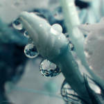.summer.II. by SilenBlues