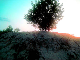 tree by ElinCrossman