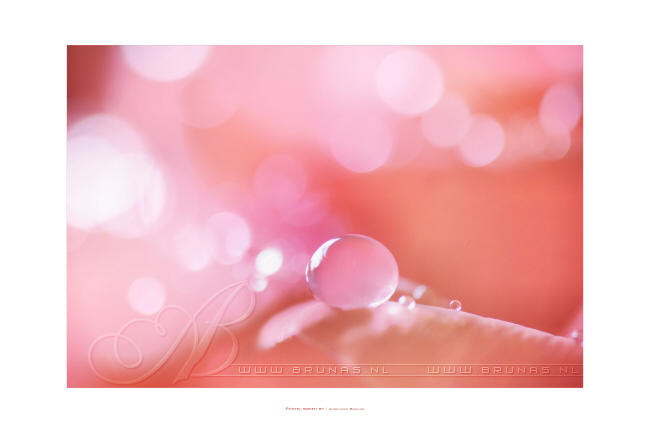 :: Pastel bokeh :: by Liek