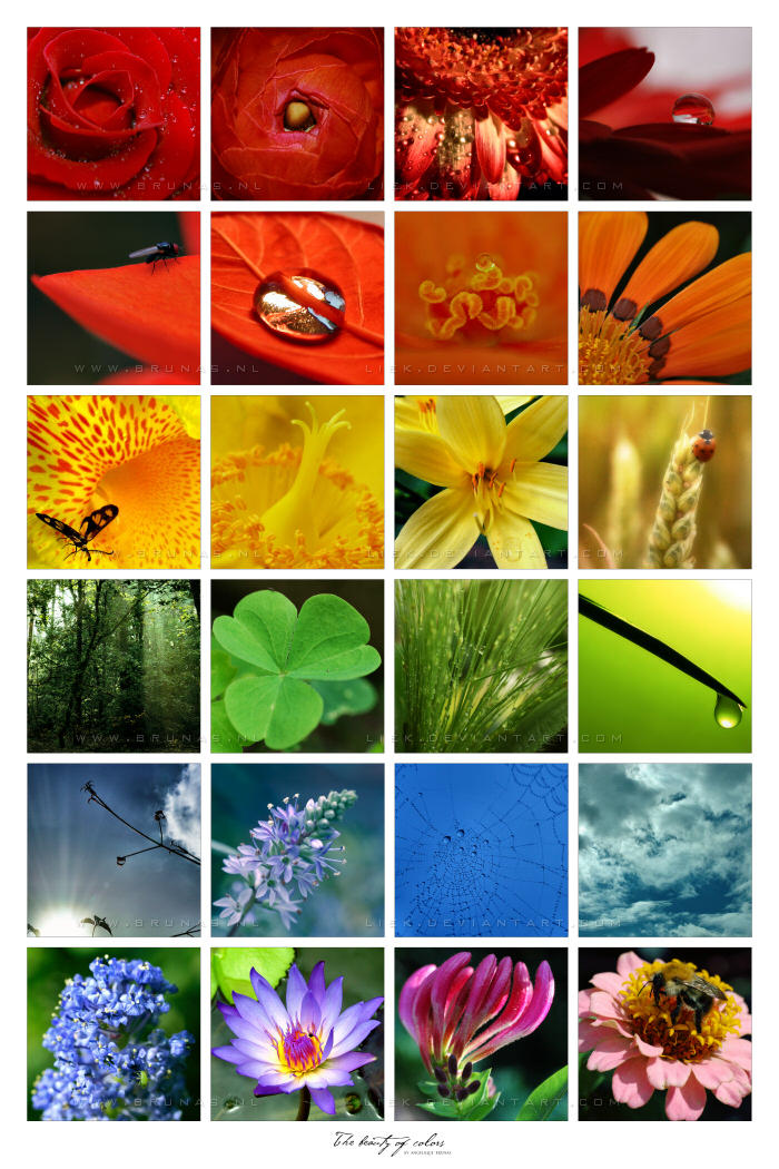 :: The beauty of colors :: by Liek