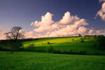 just a nice evening by P0RG