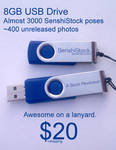 The SenshiStock USB 1.0 Drive - NOW AVAILABLE! by SenshiStock