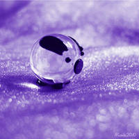 Dreamland by nicole-zhao