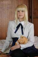 Saber and Lion by maridah