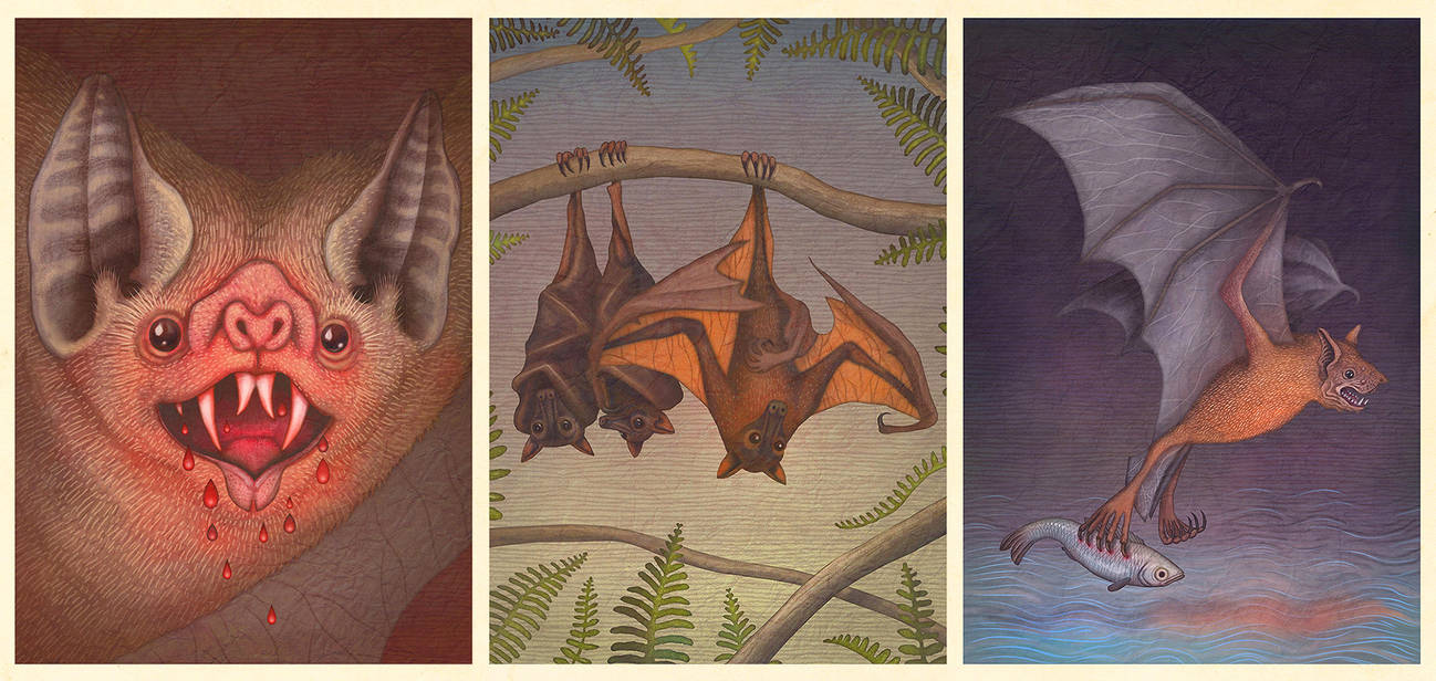 Bats by V-L-A-D-I-M-I-R