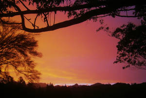 Frame II by Midnyt-Moonlight Frame II by Midnyt-Moonlight