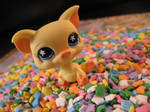 Confetti Party Piggy by Dellessanna