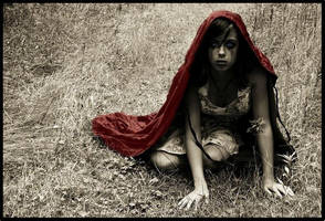 riding hood by ZombaeCosplay