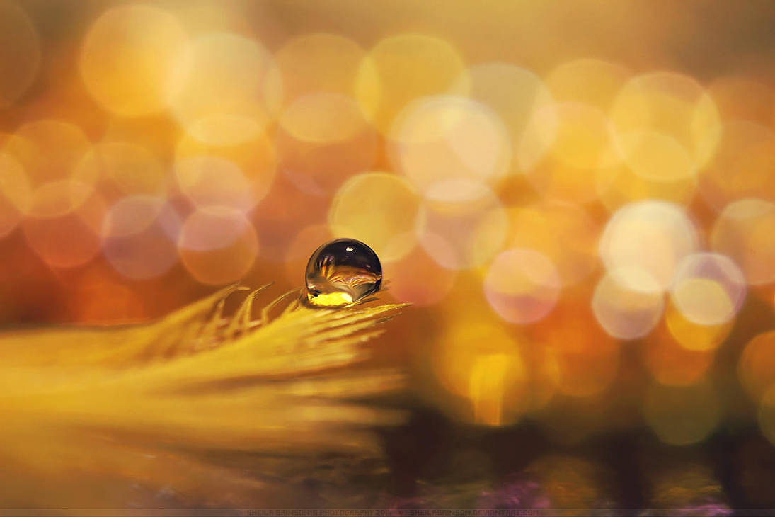 Feeling Yellow by SheilaMBrinson on DeviantArt