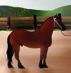 Scottie at the 2012 BMa Spring Draft Show by Kokopelli-Stable