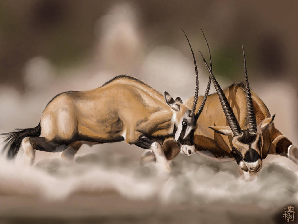 Scimitar-Horned Oryx Duel by digitalchet