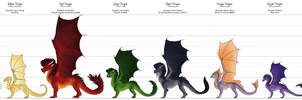 Dragon Species Chart