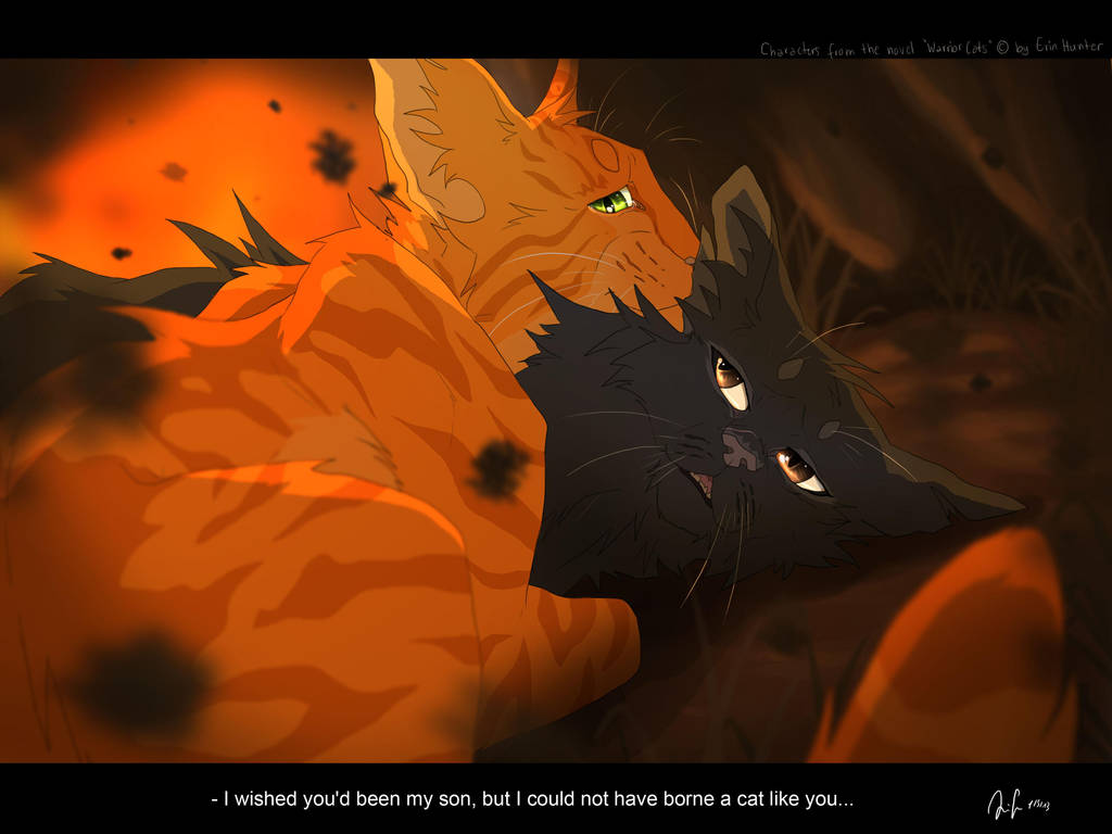 One Day You'll Understand Why... by Mizu-no-Akira