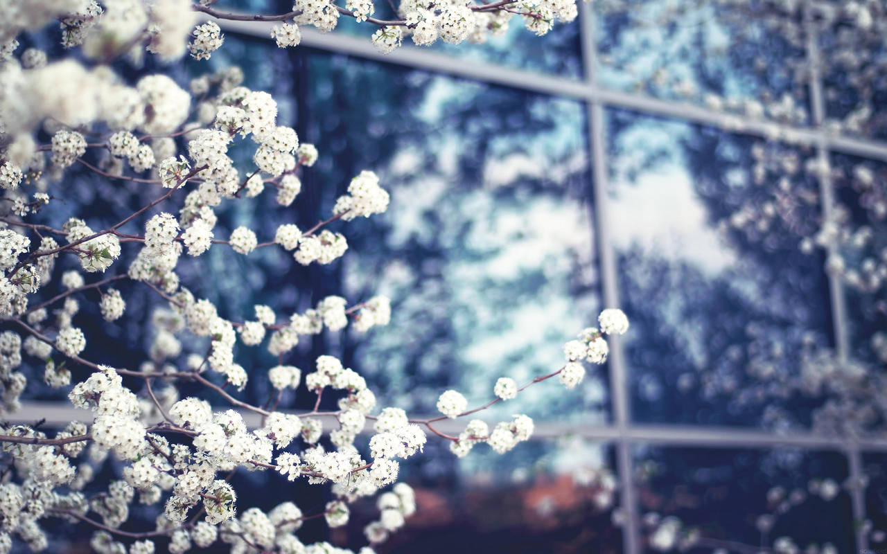 Thrive Wallpaper by solefield