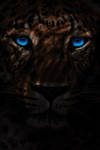 Jaguar by benchi